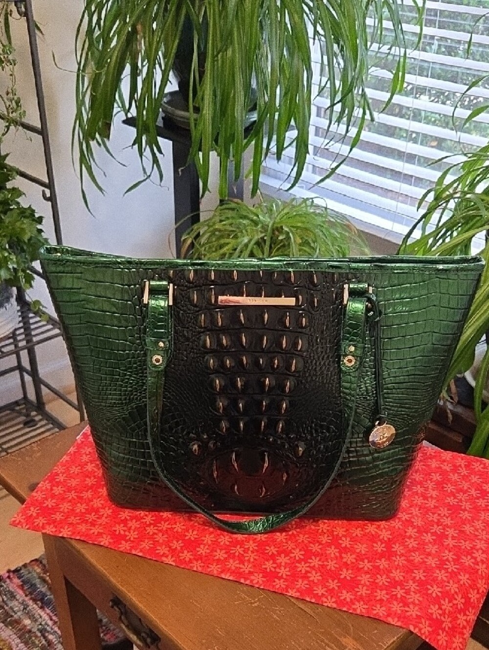 Brahmin Medium Asher Tote In Evergreen Ombre Melbourne Genuine Leather. NWT.